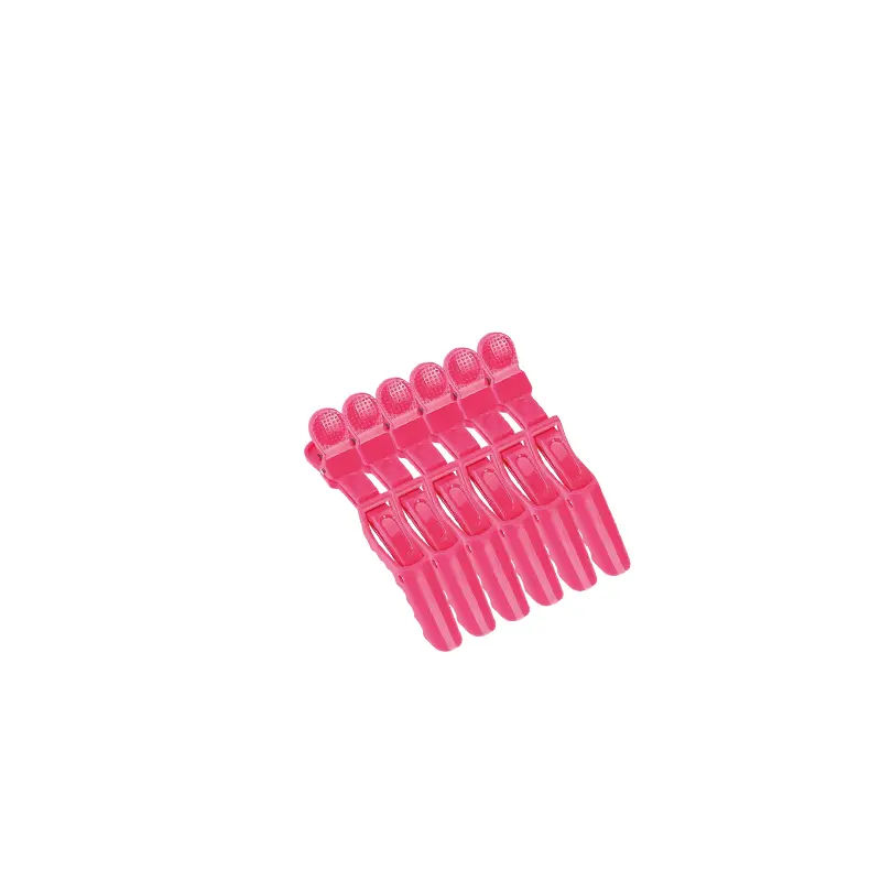 Pinces à Cheveux – Lot de 6 