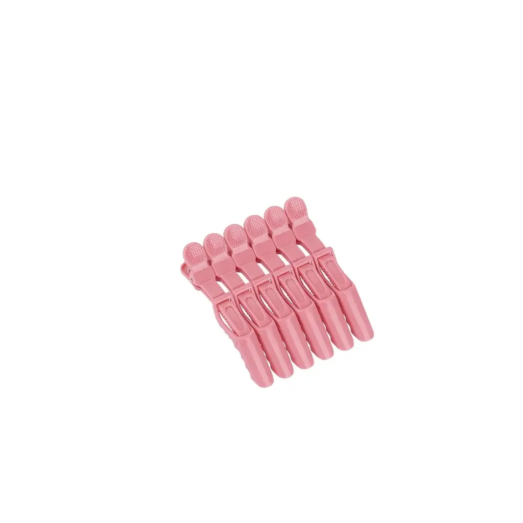 Pinces à Cheveux – Lot de 6 