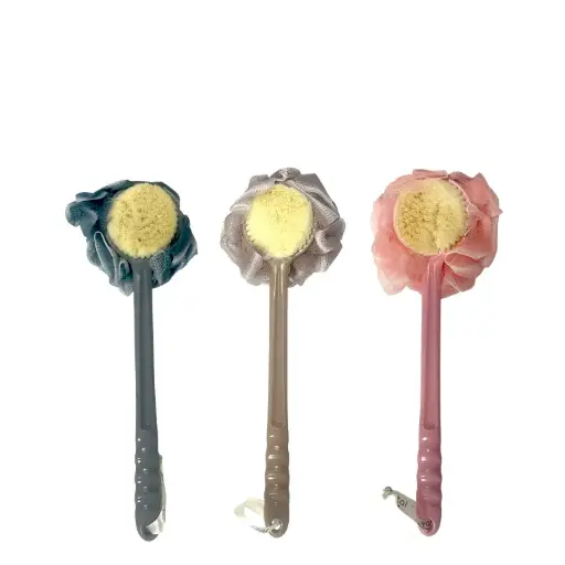 Fleur et brosse de douche à manche long  