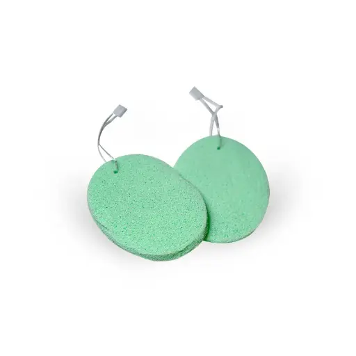 Éponge nettoyante 2PCS 